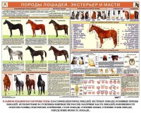 Комплект плакатов "Служебное коневодство" - fgospostavki.ru - Нижний Новгород