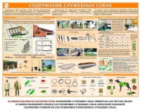 Комплект плакатов "Кинология" - fgospostavki.ru - Нижний Новгород