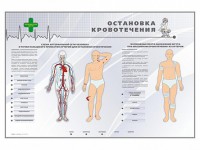 Электрифицированный стенд "Остановка кровотечения" - fgospostavki.ru - Нижний Новгород