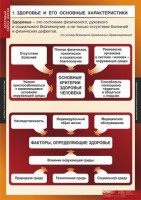 Комплект таблиц. ОБЖ. Здоровый образ жизни. - fgospostavki.ru - Нижний Новгород