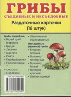 Раздаточные карточки "Грибы съедобные и не съедобные" - fgospostavki.ru - Нижний Новгород