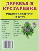 Раздаточные карточки "Деревья и кустарники" - fgospostavki.ru - Нижний Новгород