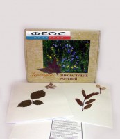 Гербарий "Дикорастущие растения" (28 видов) - fgospostavki.ru - Нижний Новгород