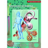 Интерактивные плакаты. Биология человека. Программно-методический комплекс - fgospostavki.ru - Нижний Новгород