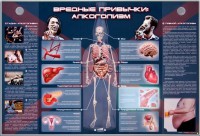 Электрифицированный стенд "Вредные привычки: алкоголизм" - fgospostavki.ru - Нижний Новгород