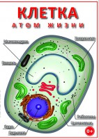 DVD "Клетка - "атом жизни" - fgospostavki.ru - Нижний Новгород