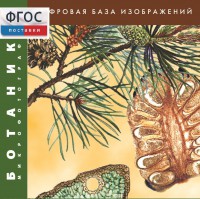 Ботаника. Микрофотографии. (Цифровая база изображений) - fgospostavki.ru - Нижний Новгород