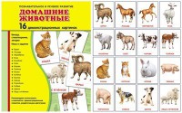 Демонстрационные карточки "Домашние животные" - fgospostavki.ru - Нижний Новгород