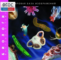 Биология. Микрофотографии. (Цифровая база изображений) - fgospostavki.ru - Нижний Новгород