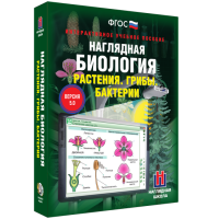 Наглядная биология. 6 класс. Растения. Грибы. Бактерии - fgospostavki.ru - Нижний Новгород