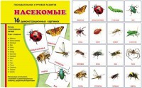 Демонстрационные карточки "Насекомые" - fgospostavki.ru - Нижний Новгород
