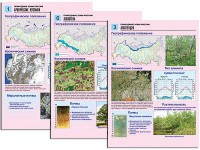 Комплект таблиц по географии "Природные зоны России" раздаточные (цветные, ламинированные, А4, 10 штук) - fgospostavki.ru - Нижний Новгород