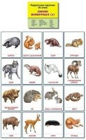 Раздаточные карточки "Дикие животные (1)" - fgospostavki.ru - Нижний Новгород