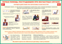 Таблица "Порядок действий при переломах конечностей" (100х140 сантиметров, винил) - fgospostavki.ru - Нижний Новгород