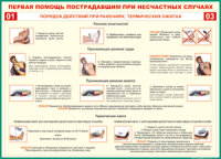 Таблица "Порядок действий при ранениях и термических ожогах" (100х140 сантиметров, винил) - fgospostavki.ru - Нижний Новгород