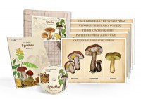Комбинированное наглядное пособие  «Грибы» - fgospostavki.ru - Нижний Новгород
