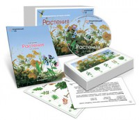 Комбинированное наглядное пособие «Растения» - fgospostavki.ru - Нижний Новгород