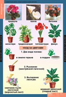Комплект таблиц. Окружающий мир 1 класс. - fgospostavki.ru - Нижний Новгород
