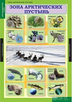 Комплект таблиц. Окружающий мир 4 класс. - fgospostavki.ru - Нижний Новгород