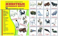 Демонстрационные карточки "Животные холодных широт" - fgospostavki.ru - Нижний Новгород