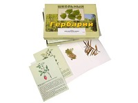 Гербарий "Для начальной школы" (30 видов, с иллюстрациями) - fgospostavki.ru - Нижний Новгород