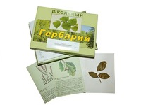 Гербарий "Дикорастущие растения" (30 видов, с иллюстрациями) - fgospostavki.ru - Нижний Новгород