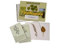 Гербарий "Лекарственные растения" (22 вида с иллюстрациями) - fgospostavki.ru - Нижний Новгород