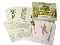 Гербарий "Систематика растений. Семейство Бобовые. Злаки" (раздаточный) - fgospostavki.ru - Нижний Новгород