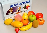 Набор муляжей фруктов - fgospostavki.ru - Нижний Новгород