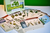 Гербарий к курсу основ общей биологии - fgospostavki.ru - Нижний Новгород