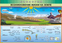Таблица "Возникновение жизни на земле" (100х140 сантиметров, винил) - fgospostavki.ru - Нижний Новгород