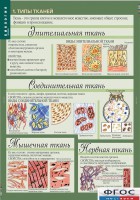 Комплект таблиц. Биология 8-9 класс. Человек. - fgospostavki.ru - Нижний Новгород