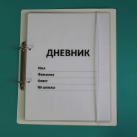 Дневник школьника (с полным набором карточек) - fgospostavki.ru - Нижний Новгород