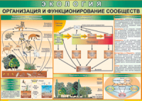 Таблица "Организация и функционирование сообществ" (100х140 сантиметров, винил) - fgospostavki.ru - Нижний Новгород