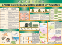 Таблица "Биотические взаимоотношения организмов" (100х140 сантиметров, винил) - fgospostavki.ru - Нижний Новгород