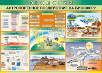 Таблица "Антропогенное воздействие на биосферу" (100х140 сантиметров, винил) - fgospostavki.ru - Нижний Новгород