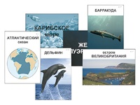 Модель-аппликация "Океаны. Знакомство" (ламинированная) - fgospostavki.ru - Нижний Новгород