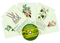 Интерактивный наглядный комплекс "Гербарий "Для начальной школы" - fgospostavki.ru - Нижний Новгород