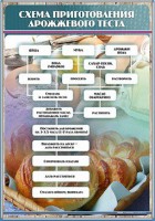 Стенд "Схема приготовления дрожжевого теста" - fgospostavki.ru - Нижний Новгород