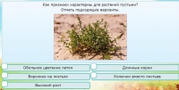 Интерактивные курсы. Окружающий мир 3 класс . Базовый. - fgospostavki.ru - Нижний Новгород