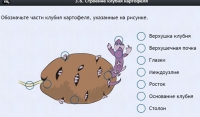 Интерактивные курсы. Биология 6 класс. Расширенный - fgospostavki.ru - Нижний Новгород