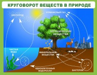 Стенд "Круговорот веществ" - fgospostavki.ru - Нижний Новгород
