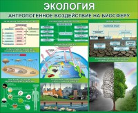Стенд "Экология. Антропогенное воздействие на биосферу" - fgospostavki.ru - Нижний Новгород