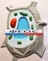 Модель барельефная "Растительная клетка" - fgospostavki.ru - Нижний Новгород