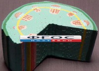 Модель "Стебель растения" - fgospostavki.ru - Нижний Новгород