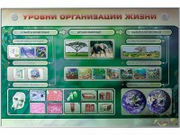 Электрифицированный стенд "Уровни организации жизни" - fgospostavki.ru - Нижний Новгород