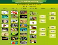 Стенд "Систематика животных" - fgospostavki.ru - Нижний Новгород