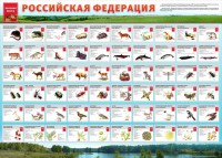 Стенд "Красная книга РФ" - fgospostavki.ru - Нижний Новгород