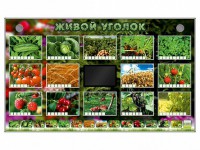 Комплект оборудования "Живой уголок" (растения) - fgospostavki.ru - Нижний Новгород