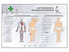 Электрифицированный стенд "Остановка кровотечения" - fgospostavki.ru - Нижний Новгород